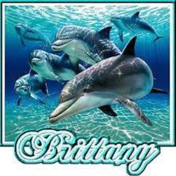 Meet your Posher, Brittany - Picture 1 of 1